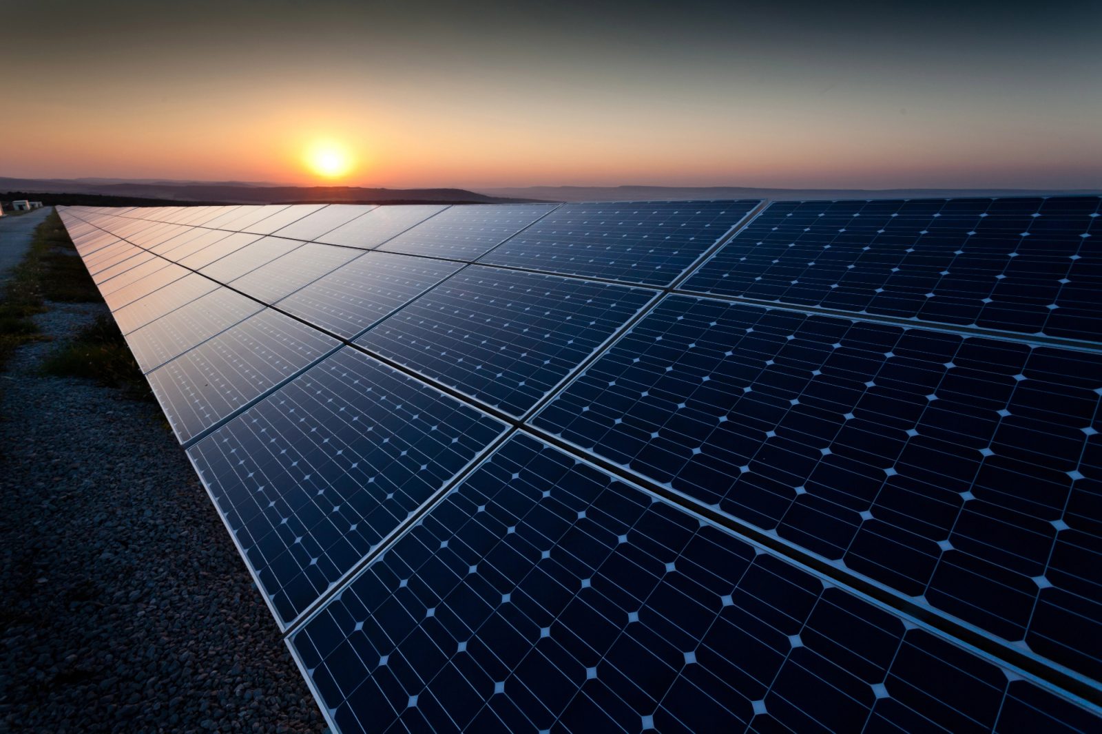Zašto u istarskom vinogradu solarna elektrana čuva stogodišnje sorte